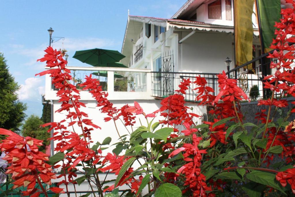 Hotel Little Tibet Darjeeling  Exterior foto